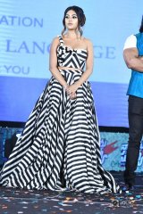 Naa Peru Surya Naa Illu India Pre Release Event Photos